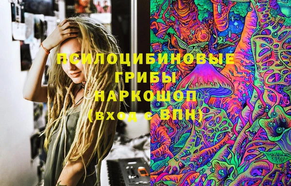 бошки Абинск