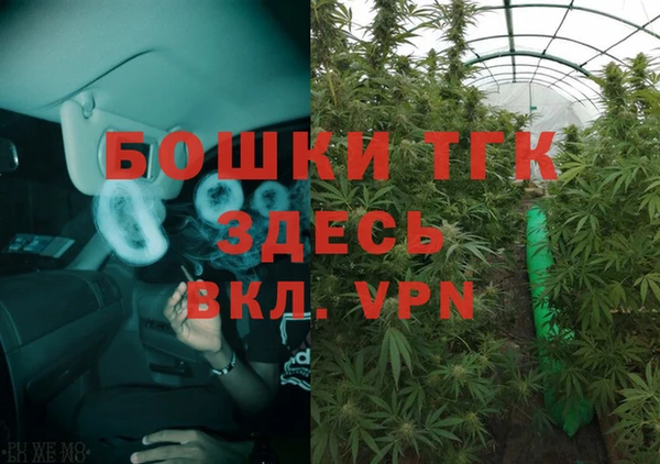 мяу мяу мука Абаза