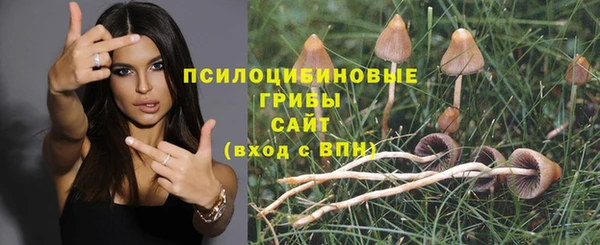 мяу мяу мука Абаза