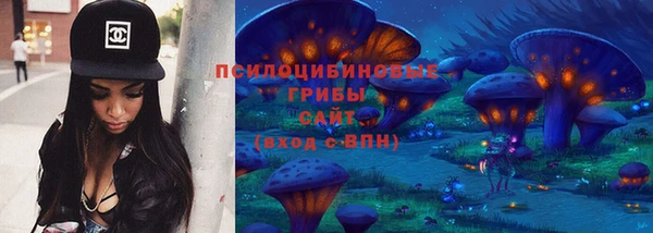 бошки Абинск