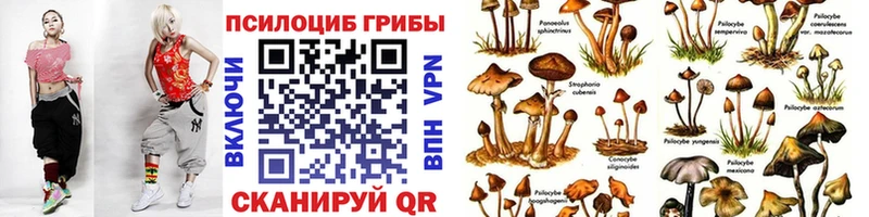 кракен рабочий сайт  Верхоянск  Псилоцибиновые грибы MAGIC MUSHROOMS 
